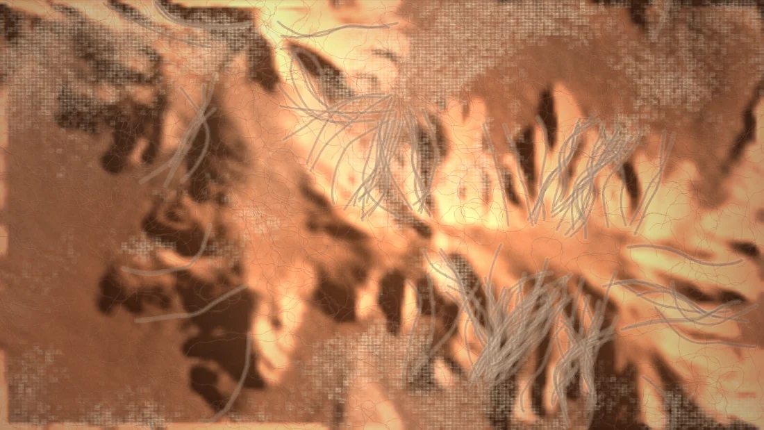 A plate from Series 11: Fifty Interferences