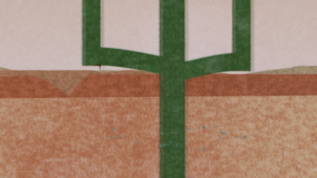 A plate from Series 85: Cactus Country